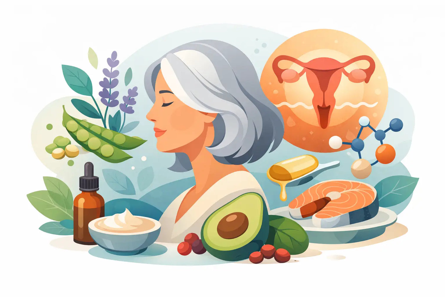 Menopause Support Ingredients Explained